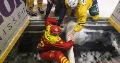 В Швейцарии во время хоккейного матча игроки провалились под лед (видео)