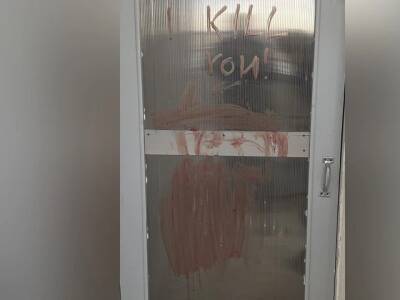 В Челябинске школьницу, подозреваемую в расправе над котенком, поместили в спецучреждение