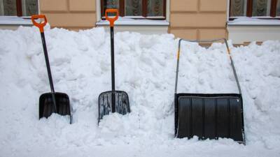 Беглову посоветовали во время прямой линии тщательнее убирать снег на улицах Петербурга