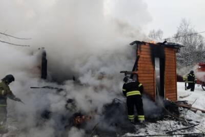 Субботним утром 6 человек тушили пожар в великолукской деревне