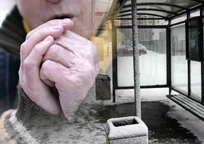 Москвичи замерзают на остановках в ожидании транспорта