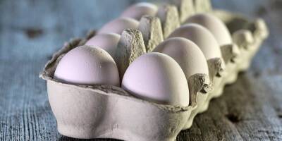 Птичий грипп: минсельхоз вводит беспошлинный импорт яиц — чтобы не допустить дефицита
