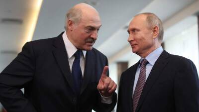 Песков подтвердил планы о встрече Путина и Лукашенко