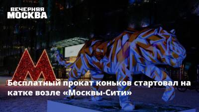 Бесплатный прокат коньков стартовал на катке возле «Москвы-Сити»