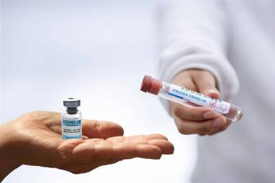 Более 800 тысяч тестов на коронавирус провели медики в Смоленской области