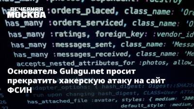 Основатель Gulagu.net просит прекратить хакерскую атаку на сайт ФСИН