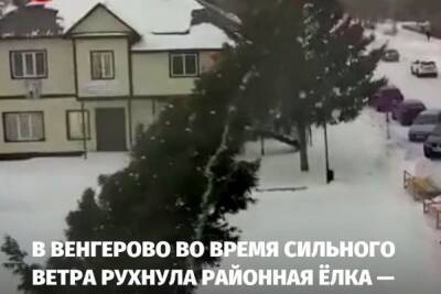 Новогоднюю елку сдуло ветром в селе под Новосибирском