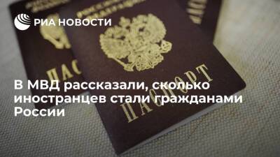 МВД: почти 668 тысяч иностранцев получили гражданство России с января по ноябрь 2021 года