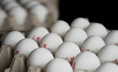 Эпидемия куриного гриппа: в Израиле будет ощущаться острый дефицит яиц