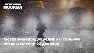 Москвичей предупредили о сильном ветре и метели 26 декабря