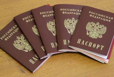 Около 668 тысяч иностранцев получили гражданство РФ за 11 месяцев 2021 года