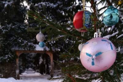 В музее-заповеднике «Михайловское» нарядили новогоднюю ёлку
