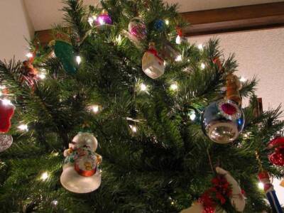Правила обращения с новогодней елкой – типичные ошибки и полезные советы