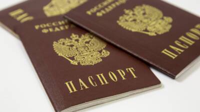 В МВД назвали число получивших гражданство России с начала года иностранцев