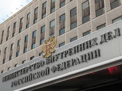 Валентина Казакова - МВД планирует выдавать россиянам электронные паспорта уже с 2022 года - rosbalt.ru - Россия