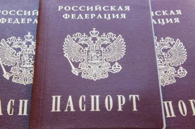 В стране увеличилось число иностранцев, получивших российское гражданство