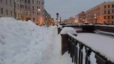 Петербуржцы пожаловались в прокуратуру на уборку снега на Манежном переулке