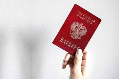 Валентина Казакова - В МВД назвали срок начала выдачи россиянам электронных паспортов - versia.ru - Россия