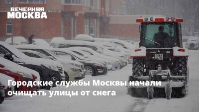 Городские службы Москвы начали очищать улицы от снега