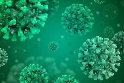 Германия: Критика стратегии борьбы с коронавирусом