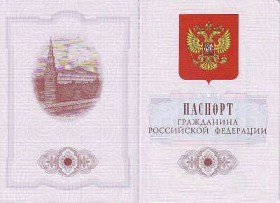 МВД: Электронные паспорта в РФ начнут выдавать с января 2023 года