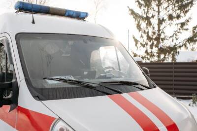 Водитель фуры получил травмы после столкновения c дорожным ограждением в Крестецком районе