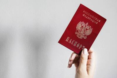 Валентина Казакова - В России введут электронные паспорта через год - infox.ru - Россия