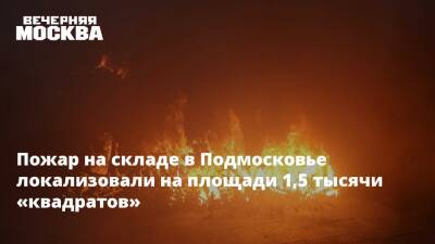Пожар на складе в Подмосковье локализовали на площади 1,5 тысячи «квадратов»