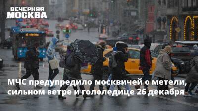 МЧС предупредило москвичей о метели, сильном ветре и гололедице 26 декабря