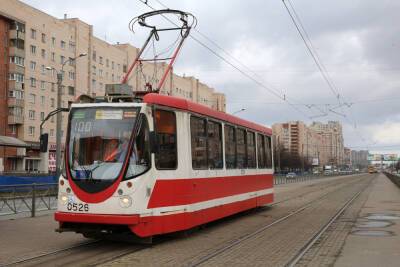 Трамваи встали в пробку после обрыва сетей на проспекте Просвещения
