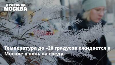 Температура до –20 градусов ожидается в Москве в ночь на среду