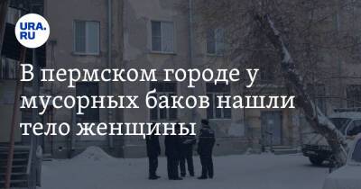 В пермском городе у мусорных баков нашли тело женщины. «Ходила к сожителю за паспортом»