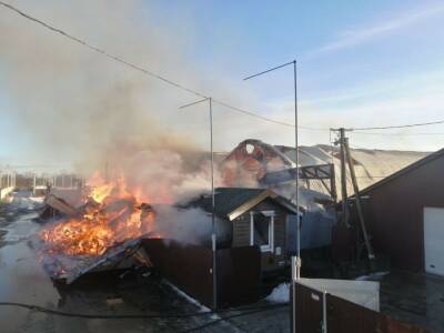 Под Киевом спасатели тушат масштабный пожар на пилораме