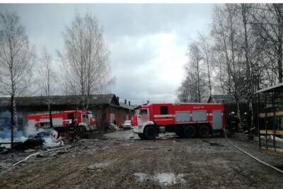 Пожарные потушили горящий дом в Кингисеппском районе