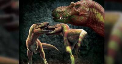 Миллиарды тираннозавров и неизвестные виды. Топ-10 открытий о динозаврах, сделанные в 2021 году