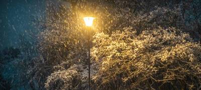 В понедельник в Карелии будет падать новогодний снег