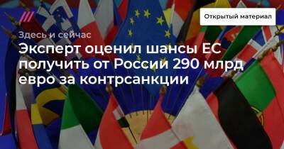 Эксперт оценил шансы ЕС получить от России 290 млрд евро за контрсанкции