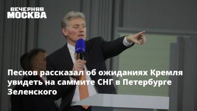 Песков рассказал об ожиданиях Кремля увидеть на саммите СНГ в Петербурге Зеленского