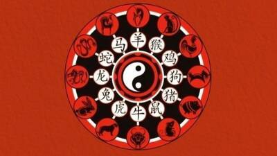 Удачные покупки и тусовки! Китайский гороскоп на неделю с 27 декабря по 2 января
