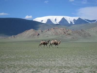 В Монголии нашли артефакты разных эпох благодаря тающим ледникам