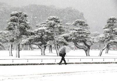 Японию накрыл мощный снегопад: отменены сотни авиарейсов
