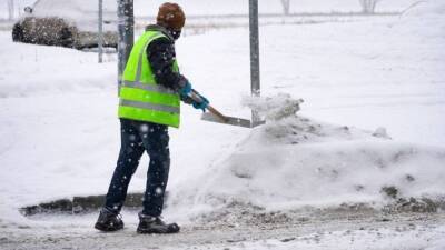 Петербургские дворники собирают макулатуру вместо расчистки улиц от снега