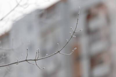 До -15 похолодает в Псковской области в понедельник