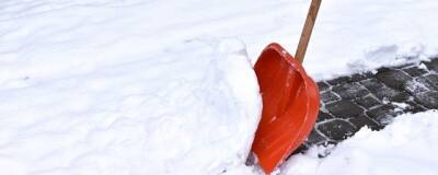 Активисты показали Беглову, как убирать дворы Петербурга от снега