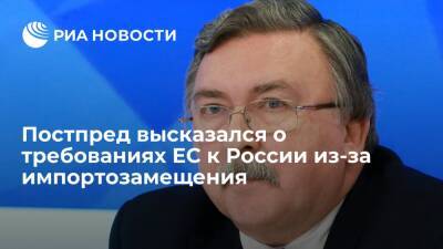 Постпред Ульянов заявил о моральных проблемах ЕС из-за требования компенсаций от России
