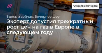 Сергей Пикин - Эксперт допустил трехкратный рост цен на газ в Европе в следующем году - tvrain.ru
