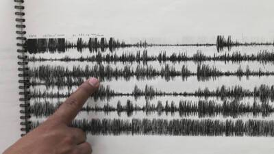 У побережья Крита произошло землетрясение магнитудой 5,4 - russian.rt.com - Ираклион - Фиджи