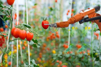 Петербургские ученые создали роботов для сельского хозяйства