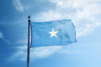 Премьер Сомали провел перестановки в кабмине, поменяв местами министров обороны и юстиции