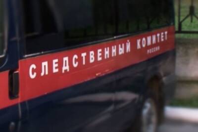 СК организовал проверку после смерти подростка при спуске на тюбинге в Москве